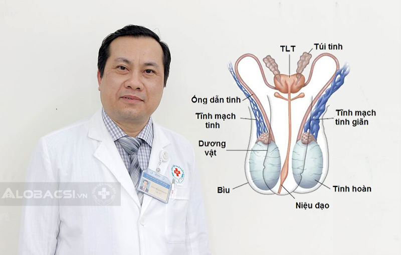 ThS.BS Trần Thanh Phong: Giãn tĩnh mạch thừng tinh có làm cho yếu sinh lý?