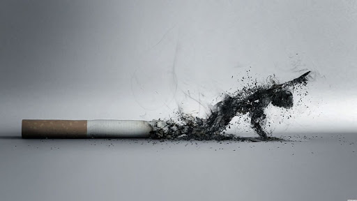 Hút thuốc lá gây nhiều bệnh lý nghiêm trọng về da